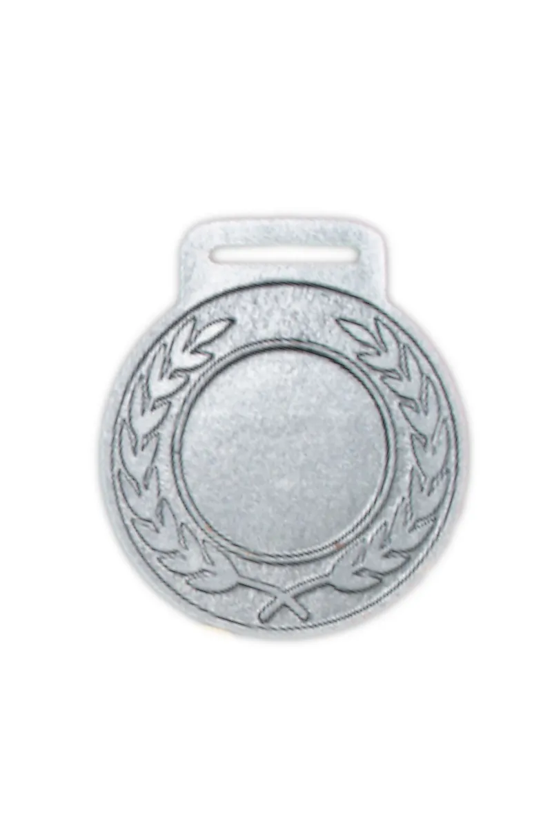 Matt Silver (matt silver finish)