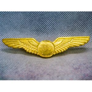 Standard WL001 Wings Lapel Pin