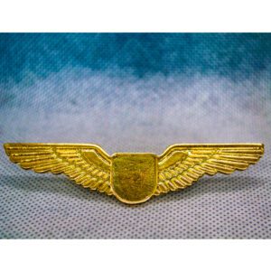 Standard WL002 Wings Lapel Pin
