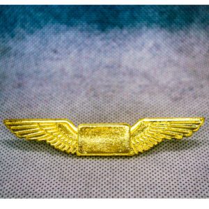 Standard WL003 Wings Lapel Pin