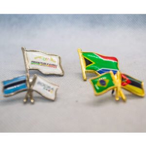 Standardised Flag Options